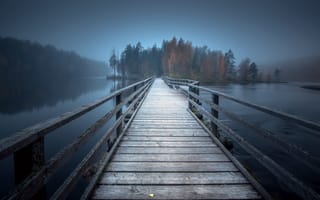 Картинка мост, озеро, лес, деревья, туман