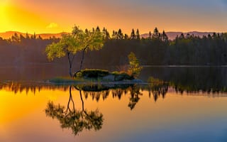 Картинка островок, дерево, отражение, озеро