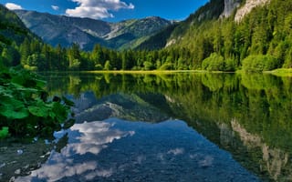 Картинка горы, лес, вода, отражение