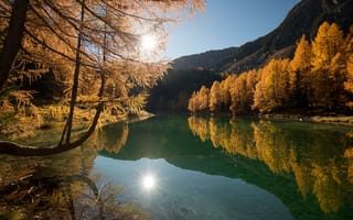 Картинка осень, лес, озеро, красота, отражение, солнце, вода