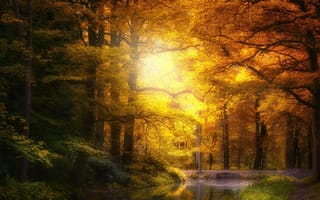 Картинка осень, река, деревья, парк, мост, природа