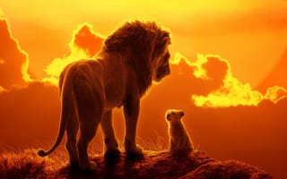 Обои Закат, The Lion King, Король Лев, Лев, Симба, Lion, Хищник, Вечер, Africa, Арт, Африка, Art
