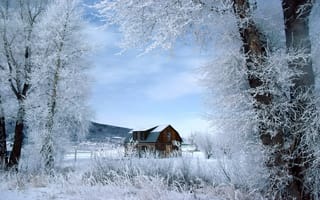Картинка дом, деревья, иней, пейзаж, снег