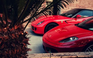 Картинка Ferrari, красный, palm, red, F430, GTO, феррари, 599