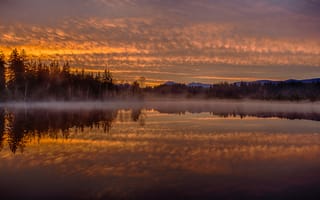 Картинка Germany, Бавария, лес, утро, озеро Кирхзее, туман, рассвет, отражение, Германия