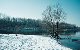 Картинка зима, снег, озеро, деревья