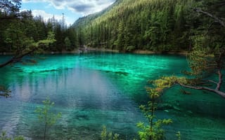 Обои Зеленое озеро, деревья, озеро, лес, Австрия