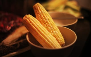 Картинка кукуруза, кочан, желтая, зерна, овощ
