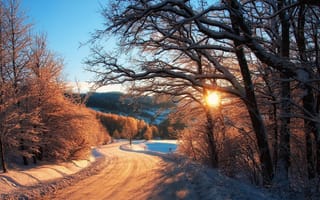 Обои road, winter, снег, зима, деревья, snow, дорога