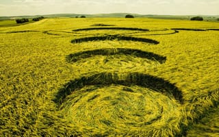 Картинка круги, горизонт, рисунок, деревья, поле