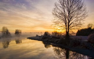 Картинка река, пейзаж, утро, туман, дерево