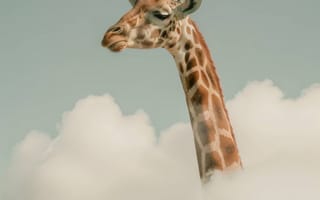 Картинка сюрреалистическое животное, жираф в облаках, мечтательные портреты животных, творческое искусство дикой природы, причудливые сцены природы, креативные композиции с животными, фэнтезийные изображения животных, ИИ искусство