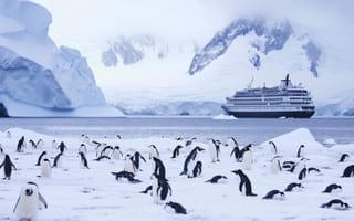 Картинка антарктический круиз, колония пингвинов, айсберги, полярный пейзаж, искусство дикой природы, картина путешествия, приключенческий туризм, ИИ искусство