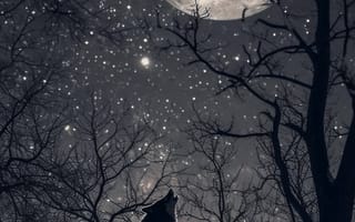 Картинка иллюстрация волка, искусство полнолуния, Сцена в заснеженном лесу, цифровая живопись, природа, зимний пейзаж, животное искусство, ночное небо, Звездная ночь, монохромное искусство, ИИ искусство