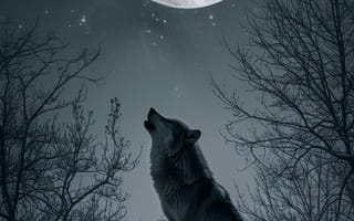 Картинка иллюстрация волка, искусство полнолуния, сцена в заснеженном лесу, цифровая живопись, природа, зимний пейзаж, животное искусство, ночное небо, Звездная ночь, монохромное искусство, ИИ искусство