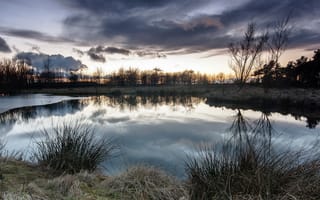 Картинка травка, отражение, озеро, пейзаж, закат