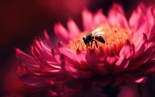 Картинка лепесток, насекомое, Цветочная пыльца, беспозвоночное, цветок, пчела, растение, розовый, однолетнее растение, красный, фиолетовый, колокольчик, середина пути, ИИ искусство, генеративный ИИ, созданный ИИ