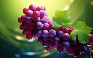 Картинка 3D рендеринг, контрастные цвета, градиентная заливка, слоистые элементы, текстурированные поверхности, эффекты глубины резкости, глянцевая отделка, динамическое движение, органический синтез, сочный и яркий, фиолетово-зеленая палитра, гроздь винограда, одиночный виноград, спиральный, ИИ искусство