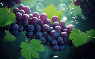 Картинка 3D рендеринг, контрастные цвета, градиентная заливка, слоистые элементы, текстурированные поверхности, эффекты глубины резкости, глянцевая отделка, динамическое движение, органический синтез, роскошное ощущение, фиолетовые и зеленые, гроздь винограда, отдельные виноградины, листья, ИИ искусство