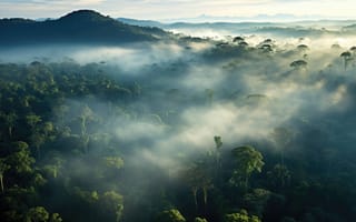 Картинка Полог биоразнообразия, зеленое пространство, тропический лес, легкие экосистемы, загадочные глубины, ИИ искусство