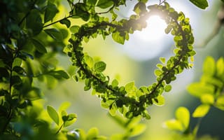 Картинка листья, форма сердца, зеленый, естественный свет, боке, символ любви, листва, Солнечный лучик, природа, романтический, среда, экологически чистая концепция, ИИ искусство