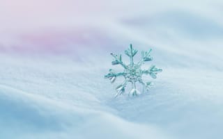 Картинка снежинка, макрос, крупный план, зима, лед, кристалл, уникальный, состав, сложный, холодный, природа, синий, белый, мороз, сезонный, ИИ искусство