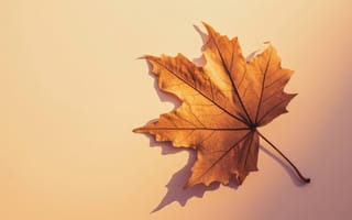 Картинка лист, осень, падать, закат, желтый, апельсин, природа, сезонный, золотой час, плавающий, спокойствие, простота, ИИ искусство