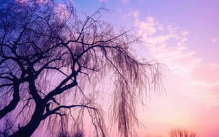 Картинка силуэт дерева, закат, фиолетовое небо, сумерки, природа, плакучая ива, безмятежный пейзаж, Цвет градиента неба, ИИ искусство