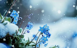 Картинка снег, синие цветы, мороз, зима, природа, холодный, нежные лепестки, Флора, ледяной, открытый, сезонная красота, спокойный, сине-белая палитра, ИИ искусство
