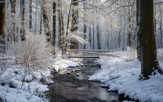 Картинка снег, лес, деревья, зима, мост, транслировать, природа, пейзаж, спокойный, безмятежный, лесистая местность, холодный, морозный, вода, белый, ИИ-искусство