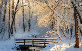 Картинка заснеженные деревья, деревянный мост, зимняя сцена, снегопад, лес, восход, спокойная природа, мороз, Утренний свет, зимняя красота, мирный пейзаж, зимний лес, природный ландшафт, ИИ искусство
