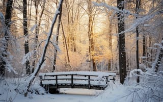 Картинка заснеженные деревья, деревянный мост, зимняя сцена, снегопад, лес, восход, спокойная природа, мороз, Утренний свет, зимняя красота, мирный пейзаж, зимний лес, природный ландшафт, ИИ искусство