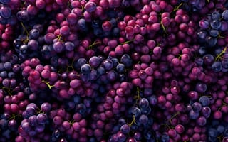 Картинка виноград, фиолетовый, фрукты, свежий, связка, лоза, текстура, естественный, антиоксидант, органический, еда, спелый, темно фиолетовый, сельское хозяйство, здоровый, ИИ искусство