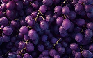 Картинка виноград, фиолетовый, фрукты, свежий, связка, лоза, текстура, естественный, антиоксидант, органический, еда, спелый, темно фиолетовый, сельское хозяйство, здоровый, ИИ искусство