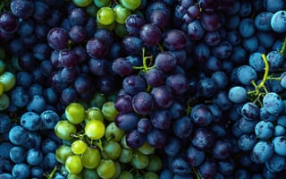 Картинка виноград, фрукты, свежий, спелый, фиолетовый, зеленый, кластеры, стебли, еда, виноградник, сочный, естественный, сельское хозяйство, виноградарство, текстура, ИИ искусство
