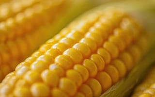Картинка желтая кукуруза, крупный план, ядра, спелая кукуруза, шелуха, сельское хозяйство, еда, овощной, кукуруза, здоровое питание, ИИ искусство