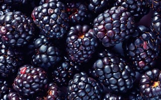 Картинка ежевика, спелый, сочный, фрукты, свежий, крупный план, фиолетовый, здоровый, органический, текстура, съедобные ягоды, пища, богатая антиоксидантами, ИИ искусство