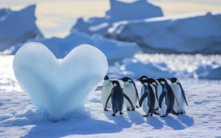 Картинка Антарктида, пингвины, айсберги, снег, дикая природа, лед, природа, холодный климат, морские птицы, среда, ИИ искусство