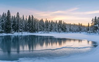 Картинка озеро, деревья, отражение, зима, снег, лед, восход, природа, лес, спокойствие, пейзаж, холодный, солнечный свет, зимний сезон, сосны, утренний свет, ясное небо, на открытом воздухе, ИИ-искусство