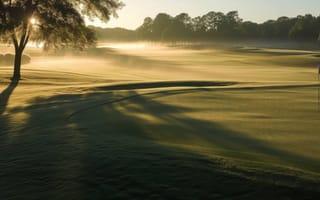 Картинка поле для гольфа, восход, солнечные лучи, деревья, зеленый, безмятежный, тени, Утренний свет, мирный, гольф пейзаж, ИИ искусство