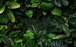 Картинка зеленый, листья, тропический, листва, природа, шаблон, текстура, джунгли, темный, растения, ботанический, пышный, листовой, ИИ искусство