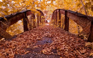 Картинка парк, листья, осень, мост
