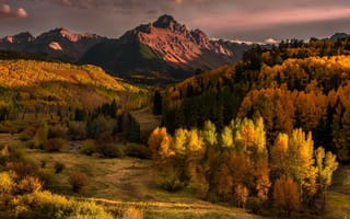Картинка горы, осень, тучи, холмы, дымка, деревья, лес
