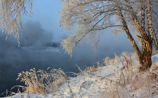 Картинка река, туман, берёза, зима, пейзаж, снег