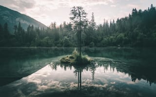 Картинка лес, озеро, дерево, небо, ветки, отражение