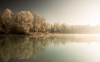 Картинка зима, деревья, лес, туман, озеро