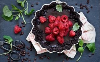 Картинка пирожное, мята, шоколад, десерт, ягоды, малина