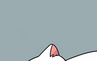 Картинка каваи, милый, Кот, котенок, животное, домашний питомец