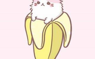 Картинка каваи, милый, Кот, котенок, банан, младенец, детеныш