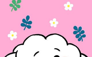 Картинка каваи, милый, Rj, Jin, овца, пушистый, маленький, детеныш, Bt21, бт, морда